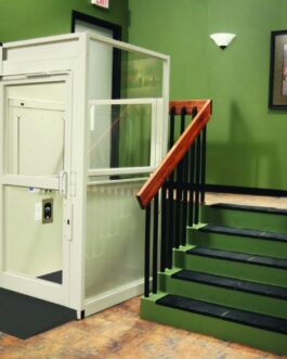 Bruno Commercial Vertical Platform Lift