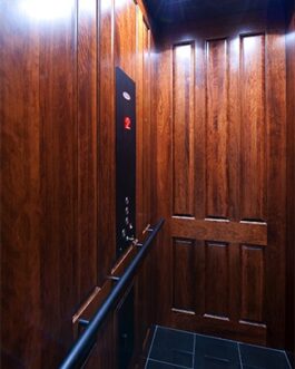 Savaria Infinity Home Elevator